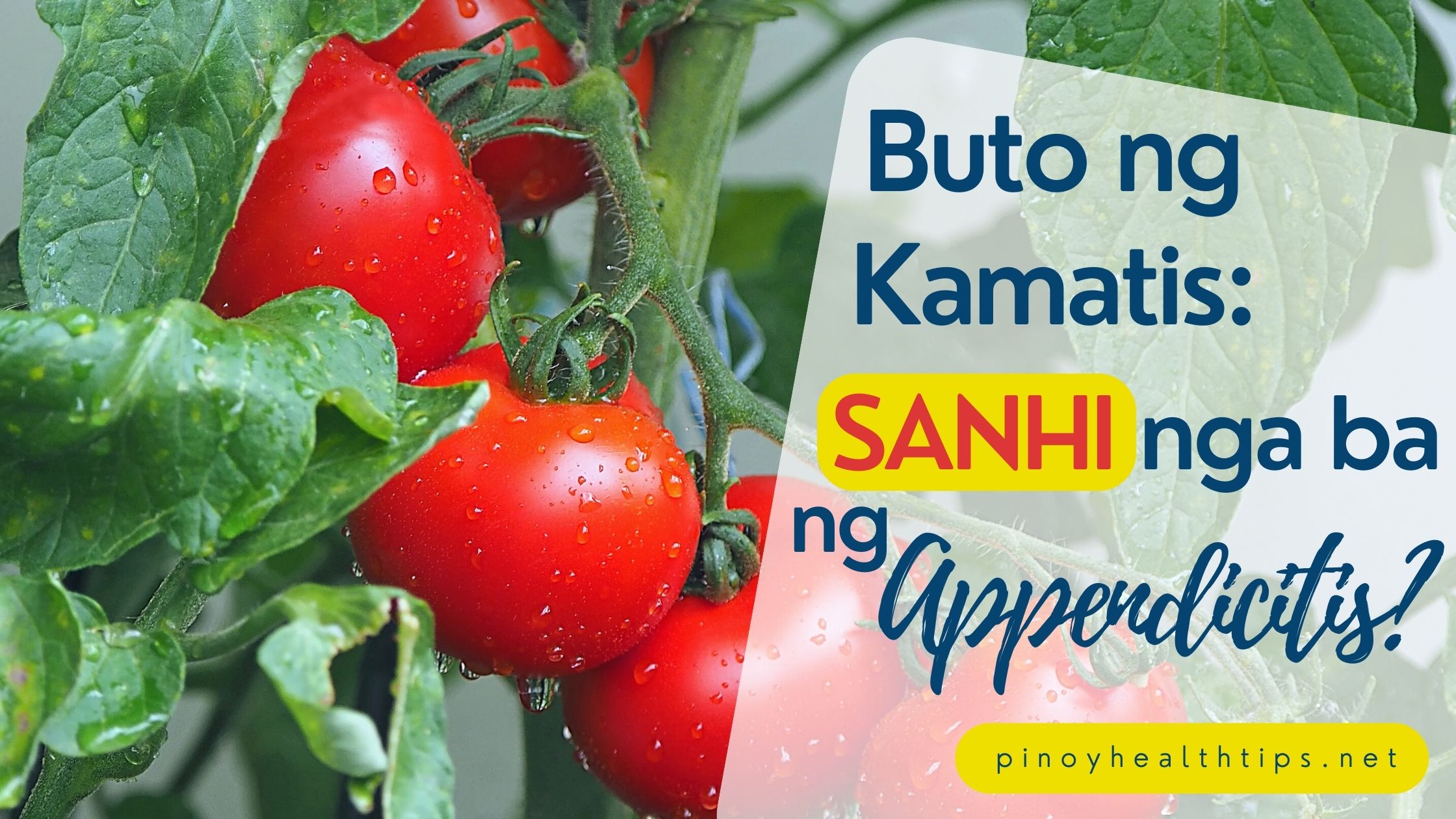 Buto ng Kamatis: Sanhi nga ba ng Appendicitis? - Pinoy Health Tips
